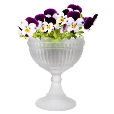 Maribowl 15 cm, frostad Iittala