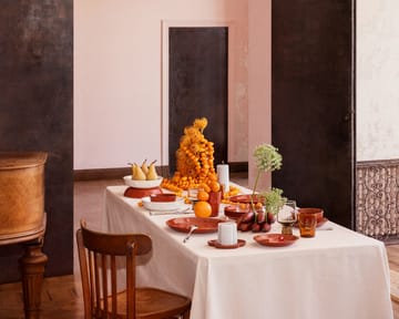 Solare mugg 30 cl - Terracotta - Iittala
