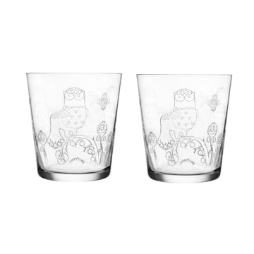 Taika glas 2-pack - 38 cl 2-pack - Iittala