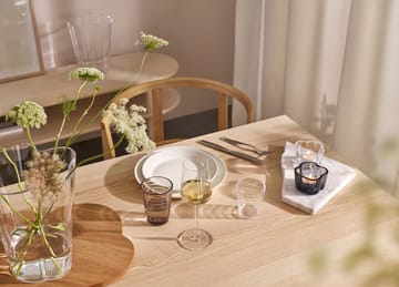 Teema startset - 16 delar - Iittala