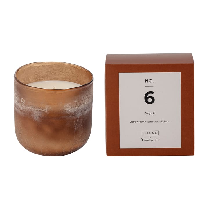 NO. 6 Sequoia doftljus, 390 g + Giftbox Illume x Bloomingville