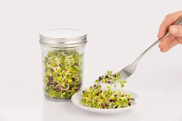 Kilner groddningsset - Klar-vit, 500 ml - Kilner