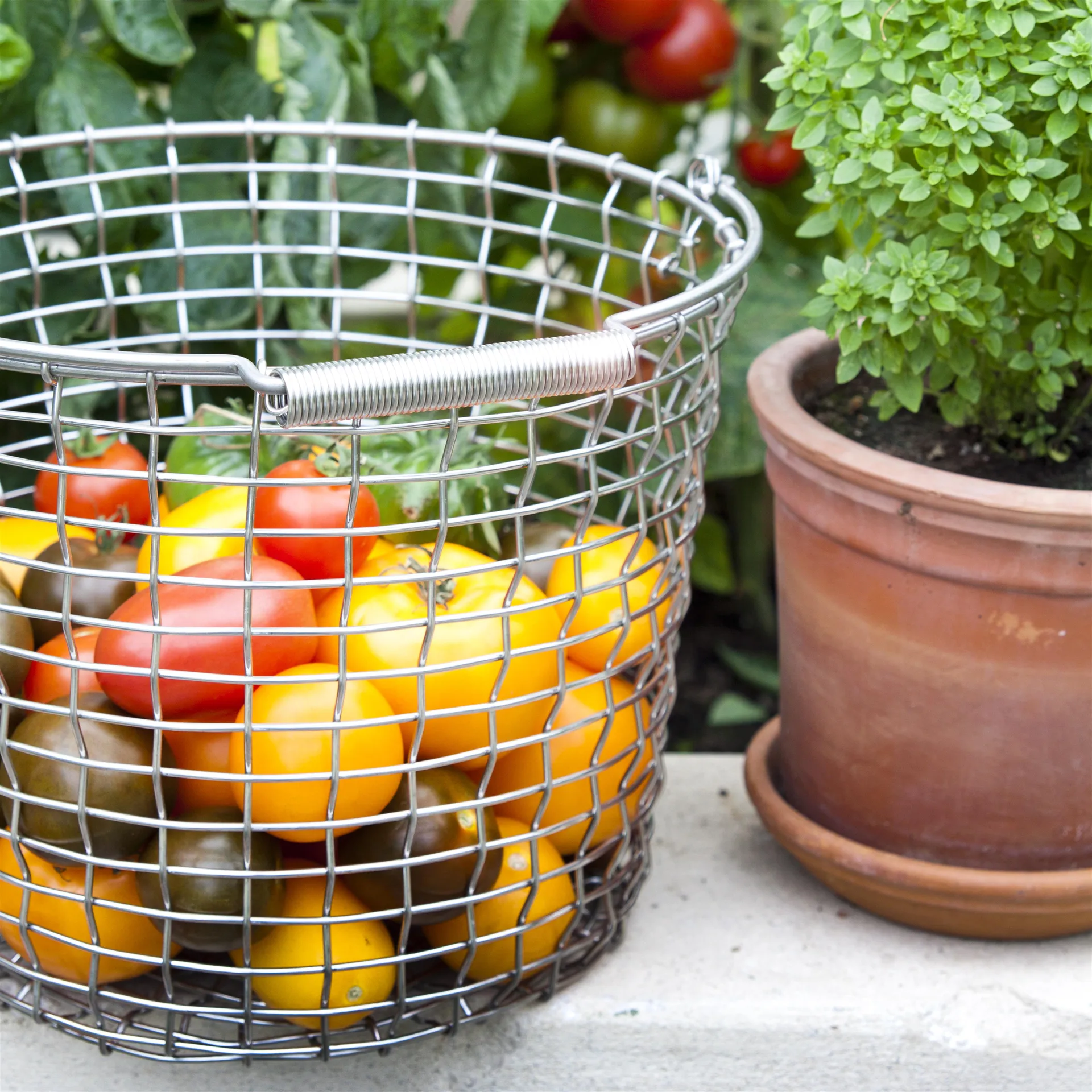 Korbo bucket 16, syrafast stål KORBO