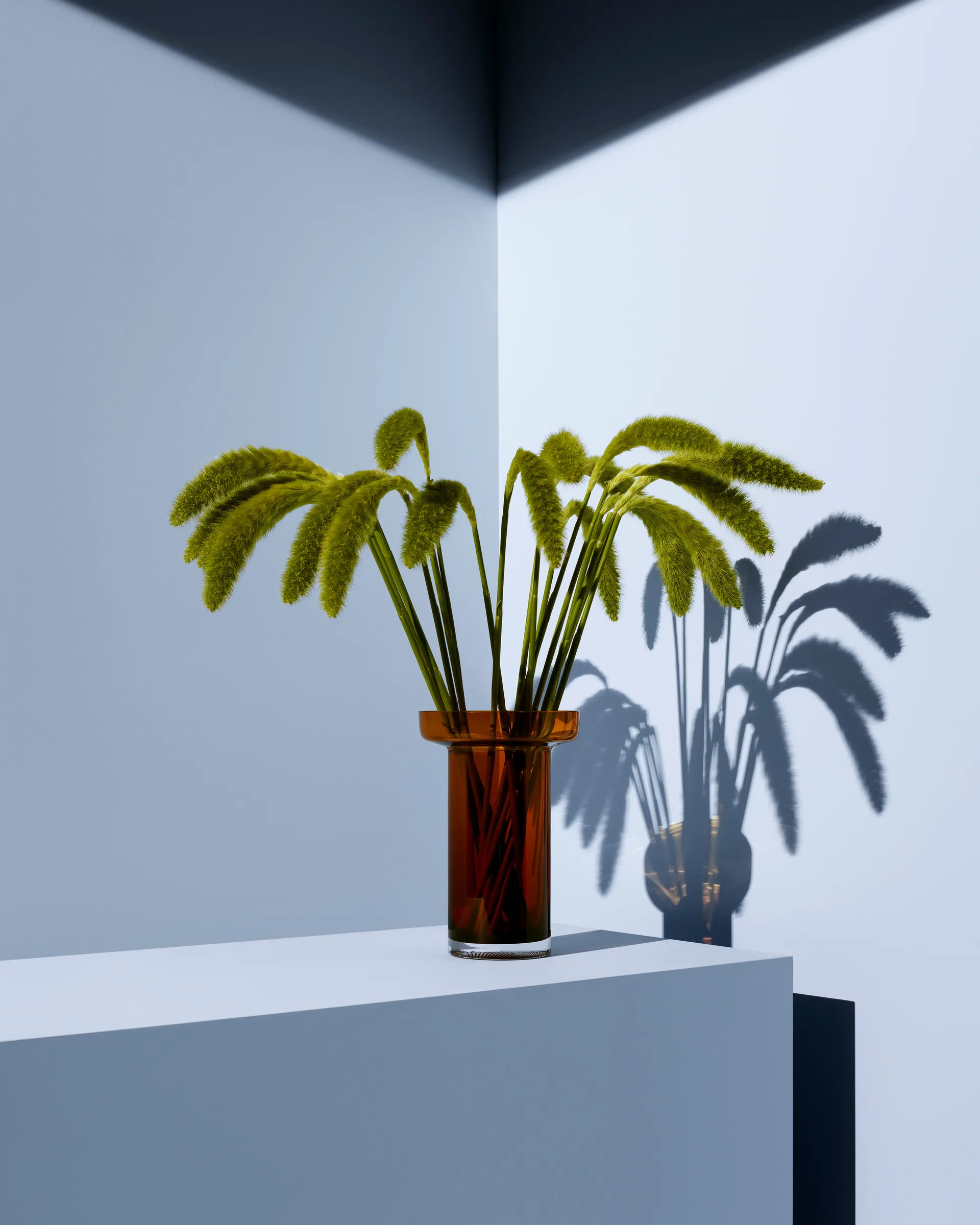 Limelight Rose vas 23 cm, Bärnsten Kosta Boda