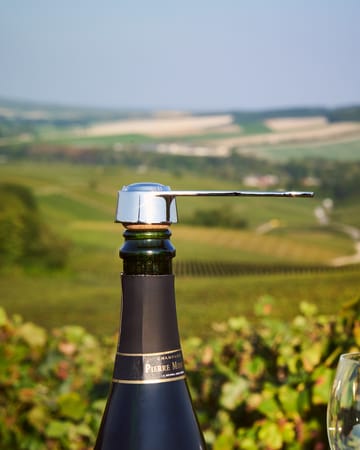 Pince á bouchon korköppnare champange - Silver - L'Atelier du Vin