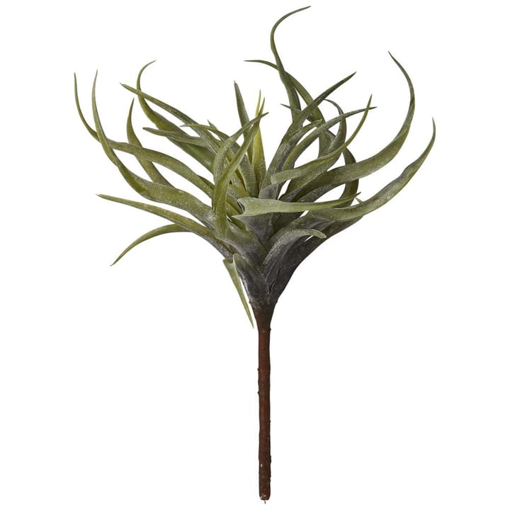 Flora succulent, 22 cm Lene Bjerre