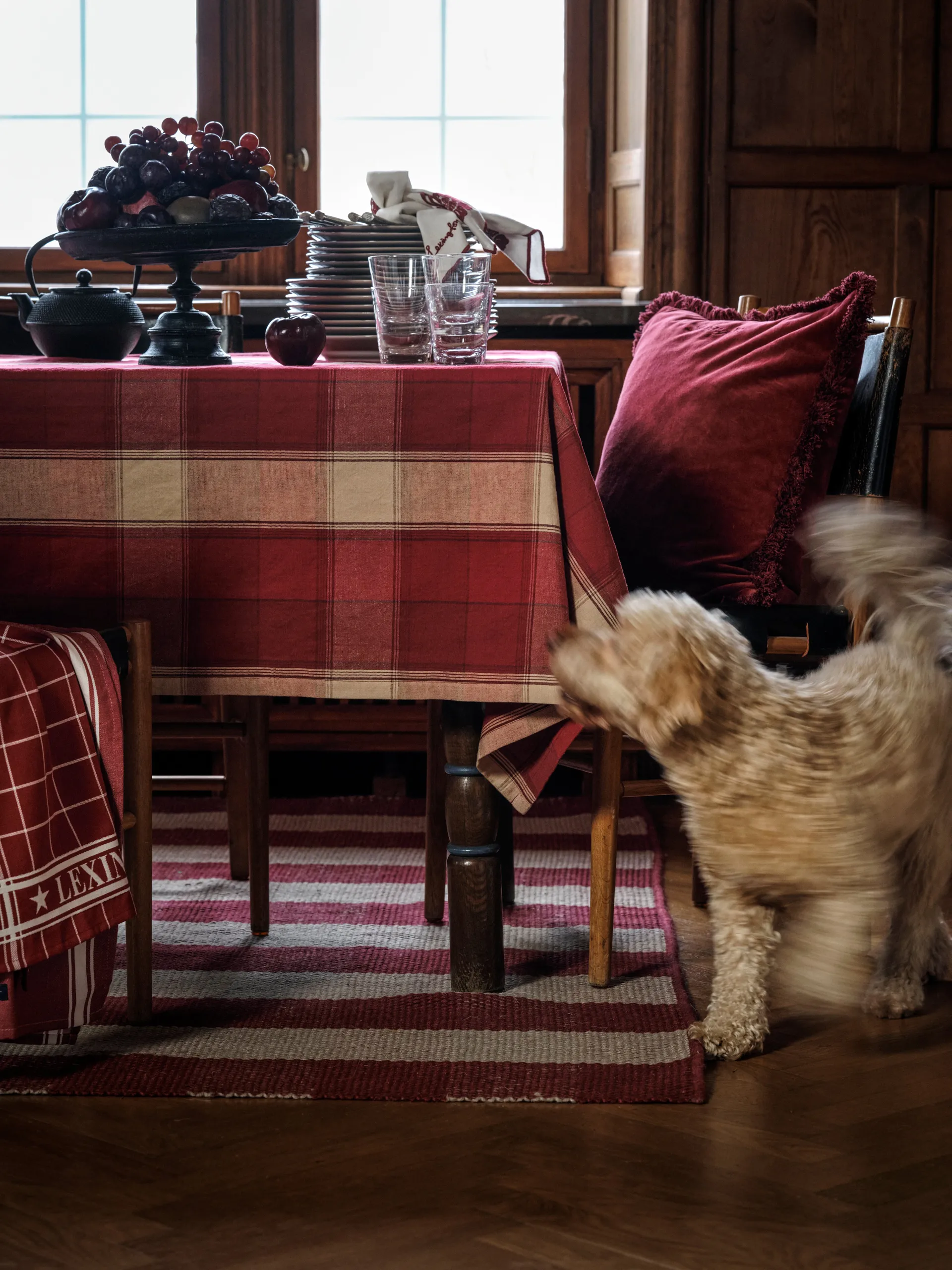 Lexington checked kökshandduk 50x70 cm, Röd-vit Lexington