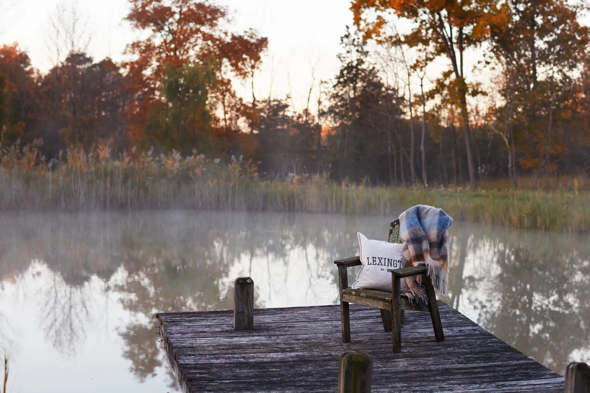 Logo Message Velvet kuddfodral 50x50 cm, Light beige Lexington