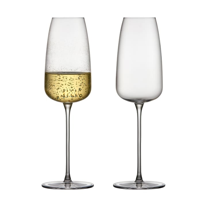 Veneto champagneglas 36 cl 2-pack, Clear Lyngby Glas