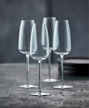 Veneto champagneglas 36 cl 2-pack - Clear - Lyngby Glas