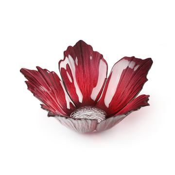Målerås Glasbruk Fleur glasskål rödrosa stor Ø23 cm