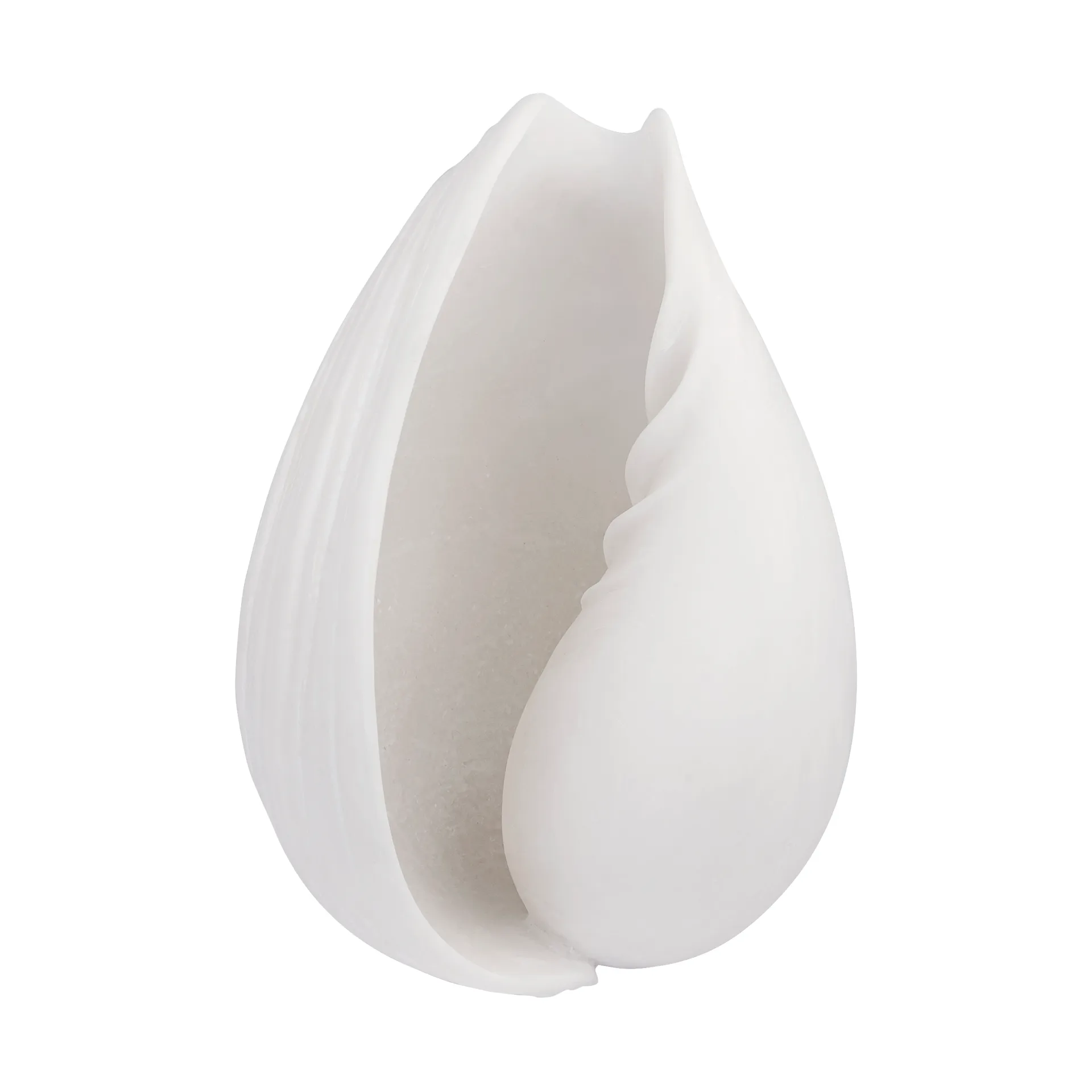 Conch dekoration snäcka, Small Mette Ditmer