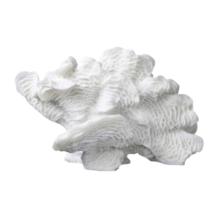 Coral fan, White Mette Ditmer