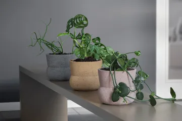 Stone blomkruka Ø17 cm - Grey - Mette Ditmer