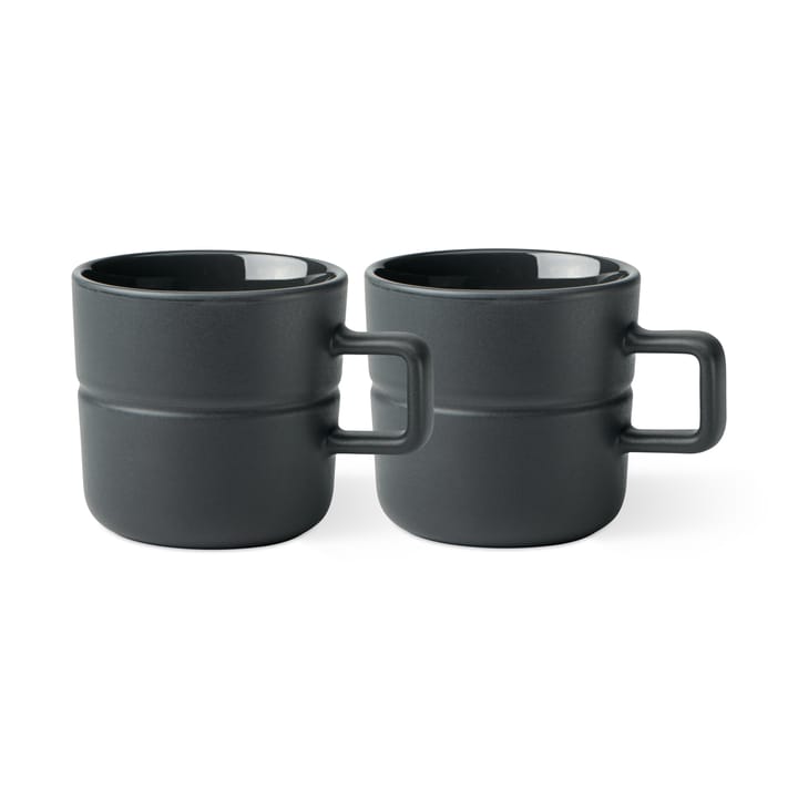 Lines mugg 30 cl 2-pack, Mörkgrå NJRD