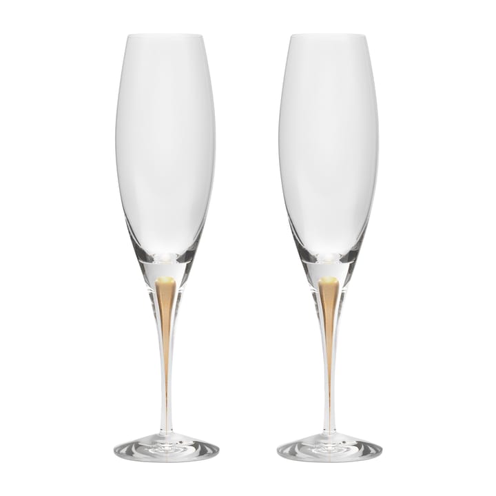 Intermezzo champagneglas 26 cl 2-pack - Guld - Orrefors