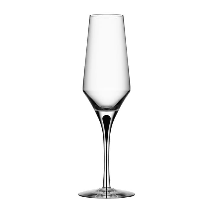 Metropol champagneglas 27 cl, Clear / Black Orrefors