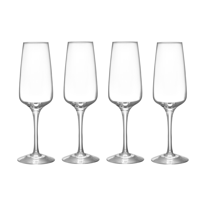 Pulse champagneglas 28 cl 4-pack, Klar Orrefors