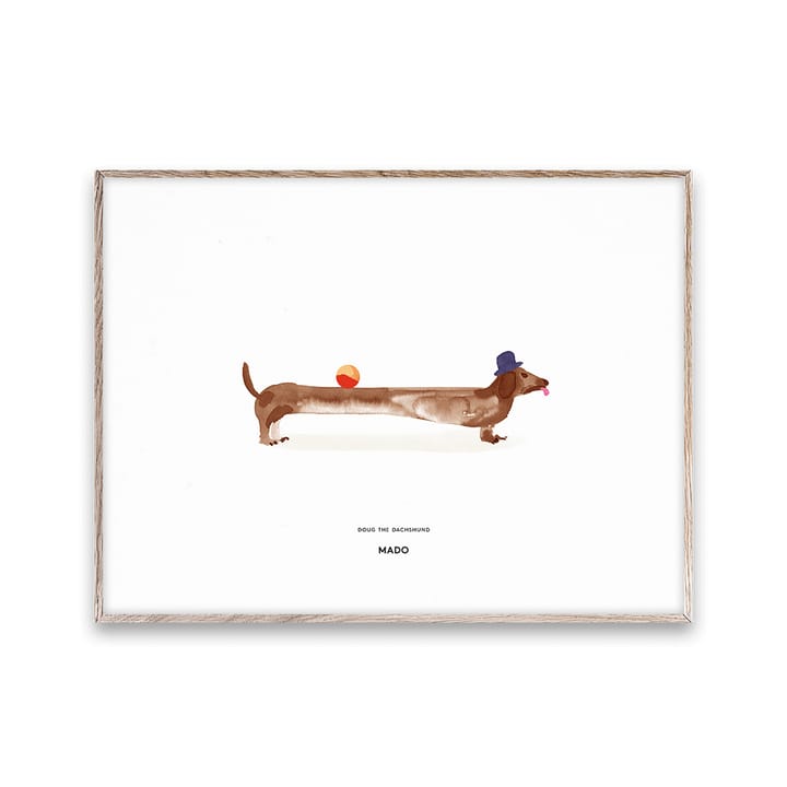 Doug the Dachshund poster, 30x40 cm Paper Collective