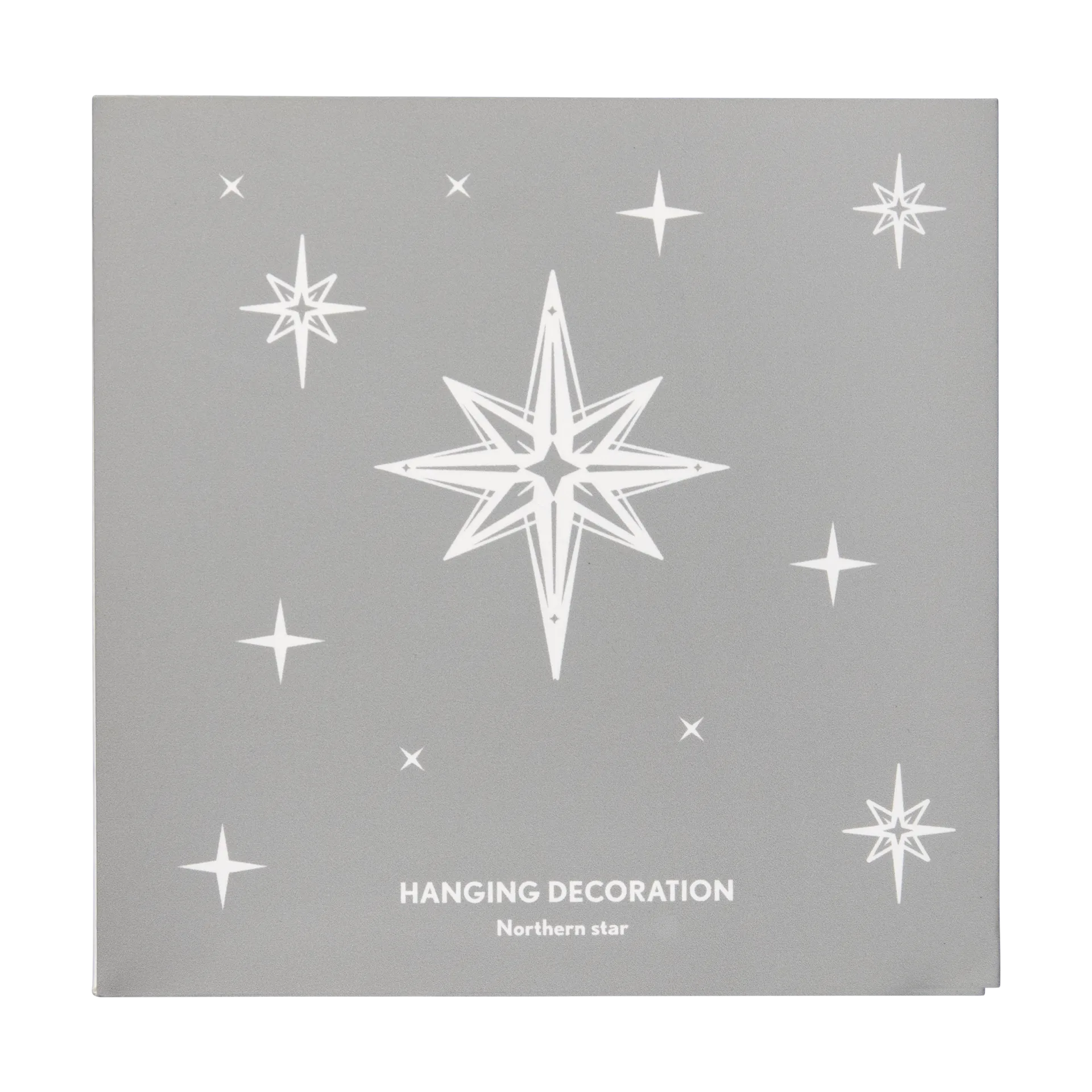 Northern Star L julhänge, Silver Pluto Design