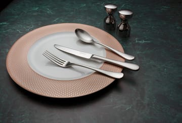 Radford matgaffel matt - Rostfritt stål - Robert Welch