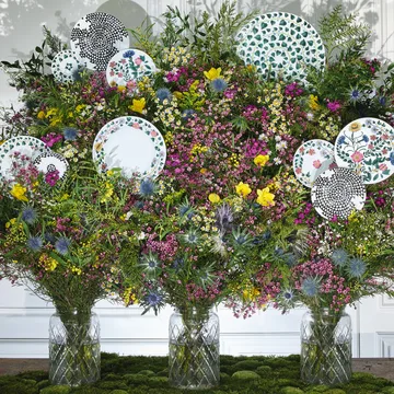 Magic Garden Foliage tallrik 21 cm - Vit-grön - Rosenthal