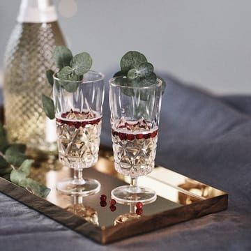 Picknick champagneglas plast 4-pack - 4-pack - Sagaform