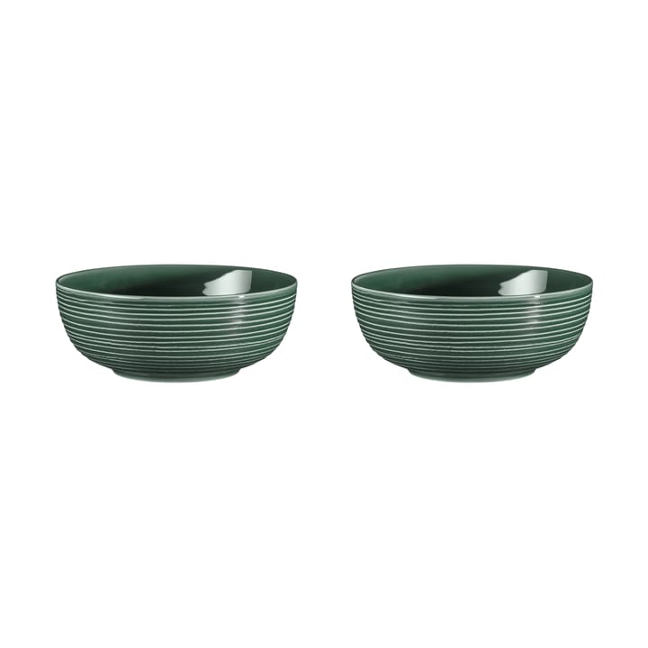 Terra skål Ø20,4 cm 2-pack - Moss Green - Seltmann Weiden