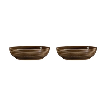 Läs mer om Seltmann Weiden Terra skål Ø25,5 cm 2-pack Earth Brown