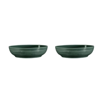 Läs mer om Seltmann Weiden Terra skål Ø25,5 cm 2-pack Moss Green