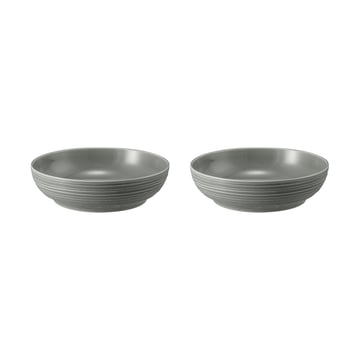 Läs mer om Seltmann Weiden Terra skål Ø25,5 cm 2-pack Pearl Grey