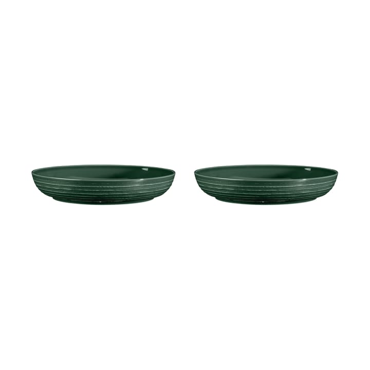 Terra skål Ø28 cm 2-pack, Moss Green Seltmann Weiden