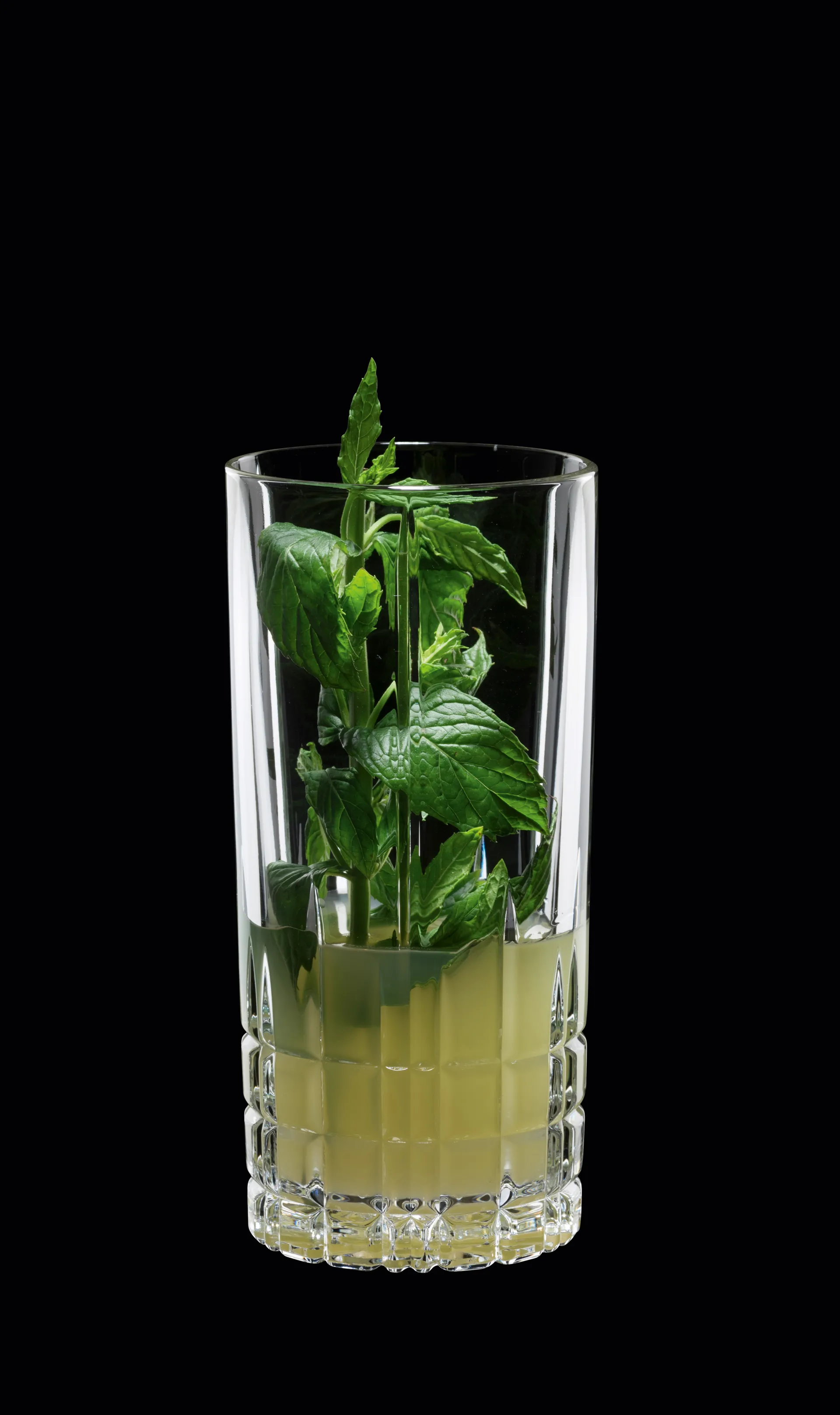 Perfect Serve Longdrinksglas 35 cl 4-pack, klar Spiegelau