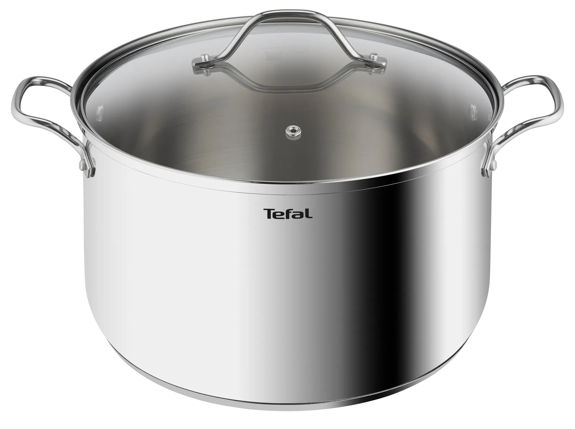 Intuition gryta 30 cm 10 l, Rostfritt stål Tefal