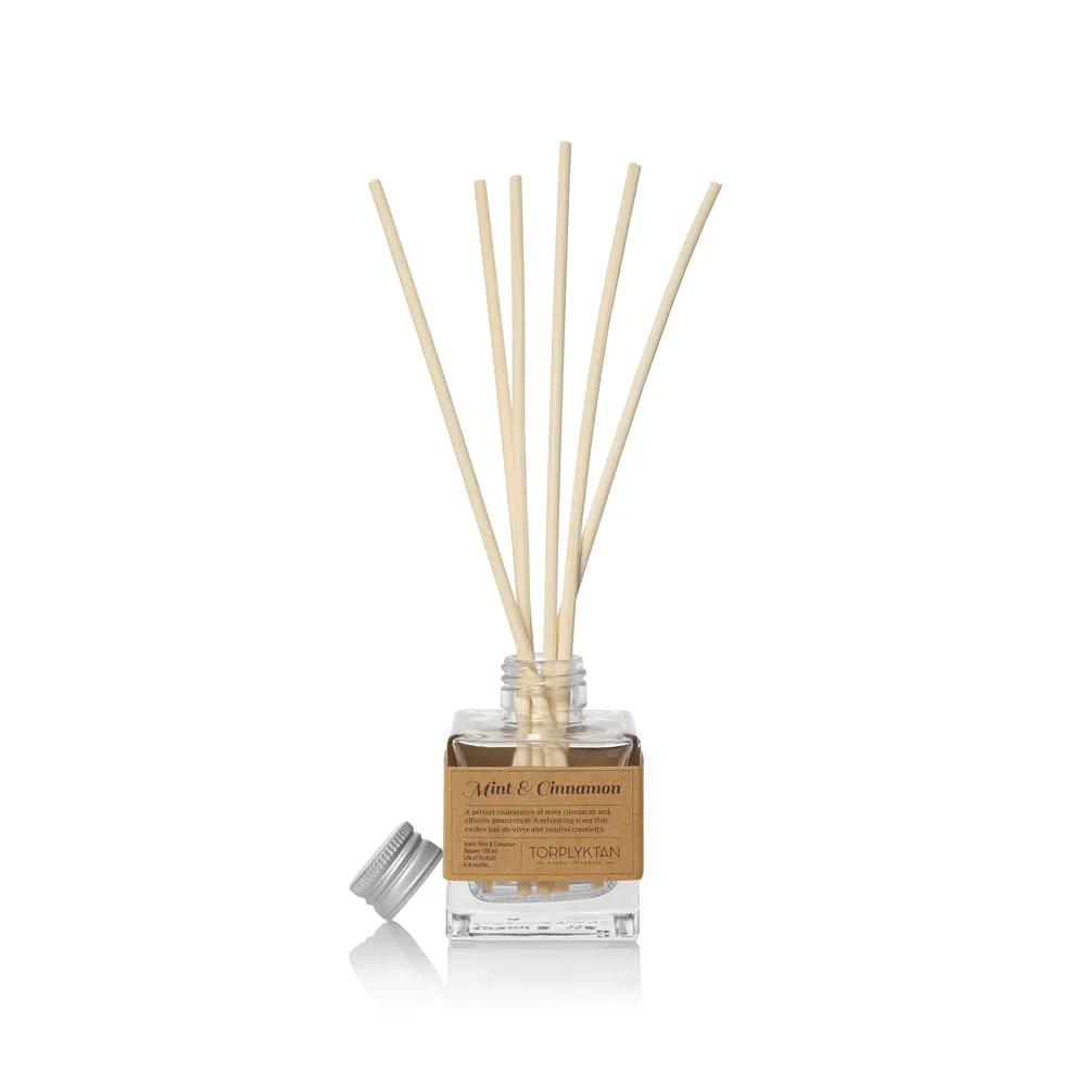 Spice pantry doftspridare 100 ml, mynta & kanel Torplyktan