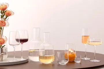 Afina snapsglas - Transparent, 4 cl, 4-pack - Villeroy & Boch