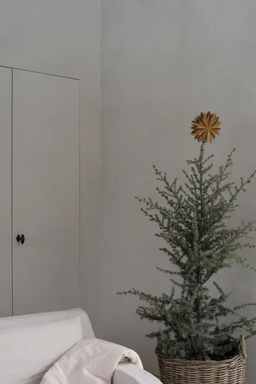 Nova toppstjärna Ø20 cm - Guld - Watt & Veke