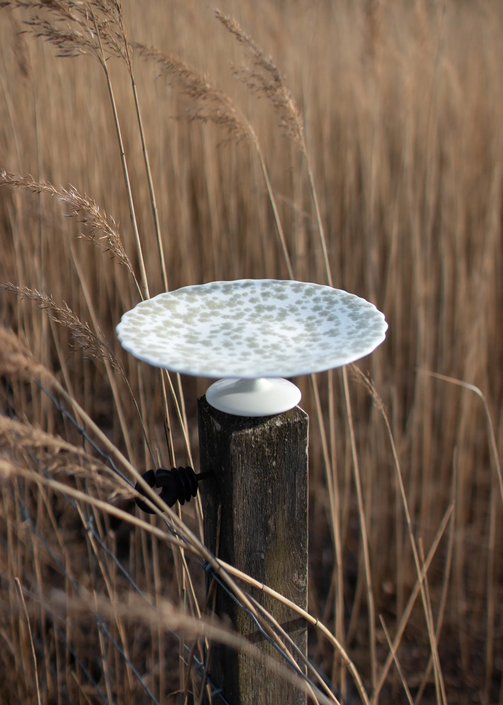 Slåpeblom tårtfat Ø21 cm, Grön Wik & Walsøe