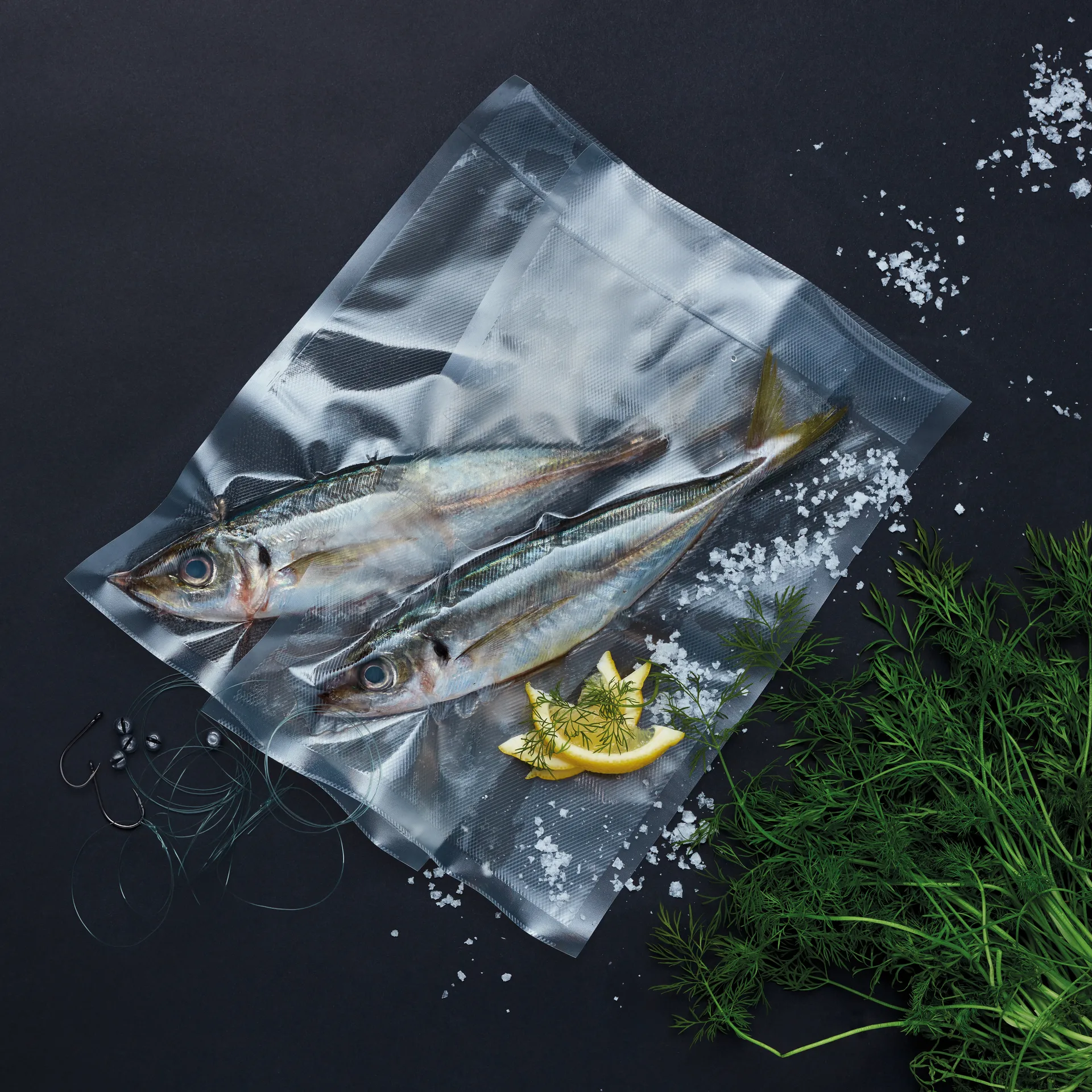 VS-0812S herring vakuumförpackare 12 L, Svart Wilfa