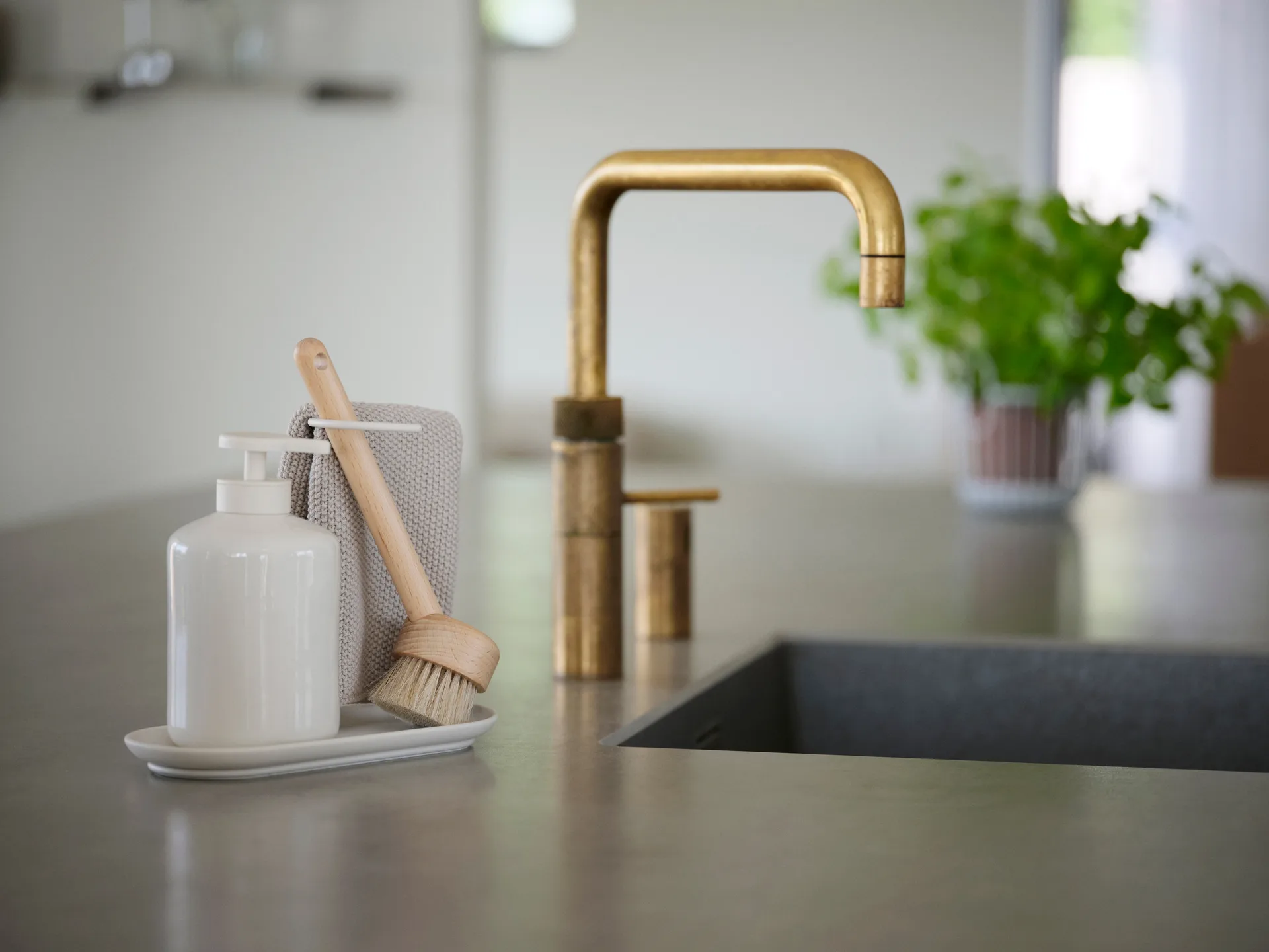 Inu diskborste, Bok Zone Denmark