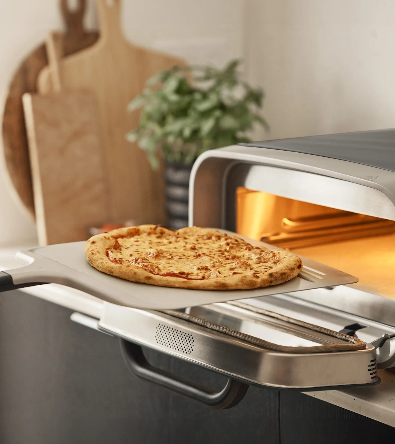En gyllenbrun ostpizza på en pizzaspade placeras i en varm, modern pizzaugn i ett kök.