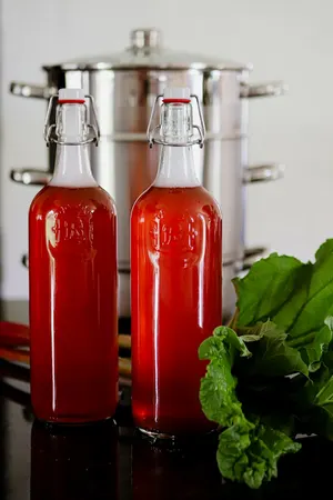 Två flaskor hemgjord rabarbersaft med patentkorkar, färska rabarberblad och en saftkokare i bakgrunden.